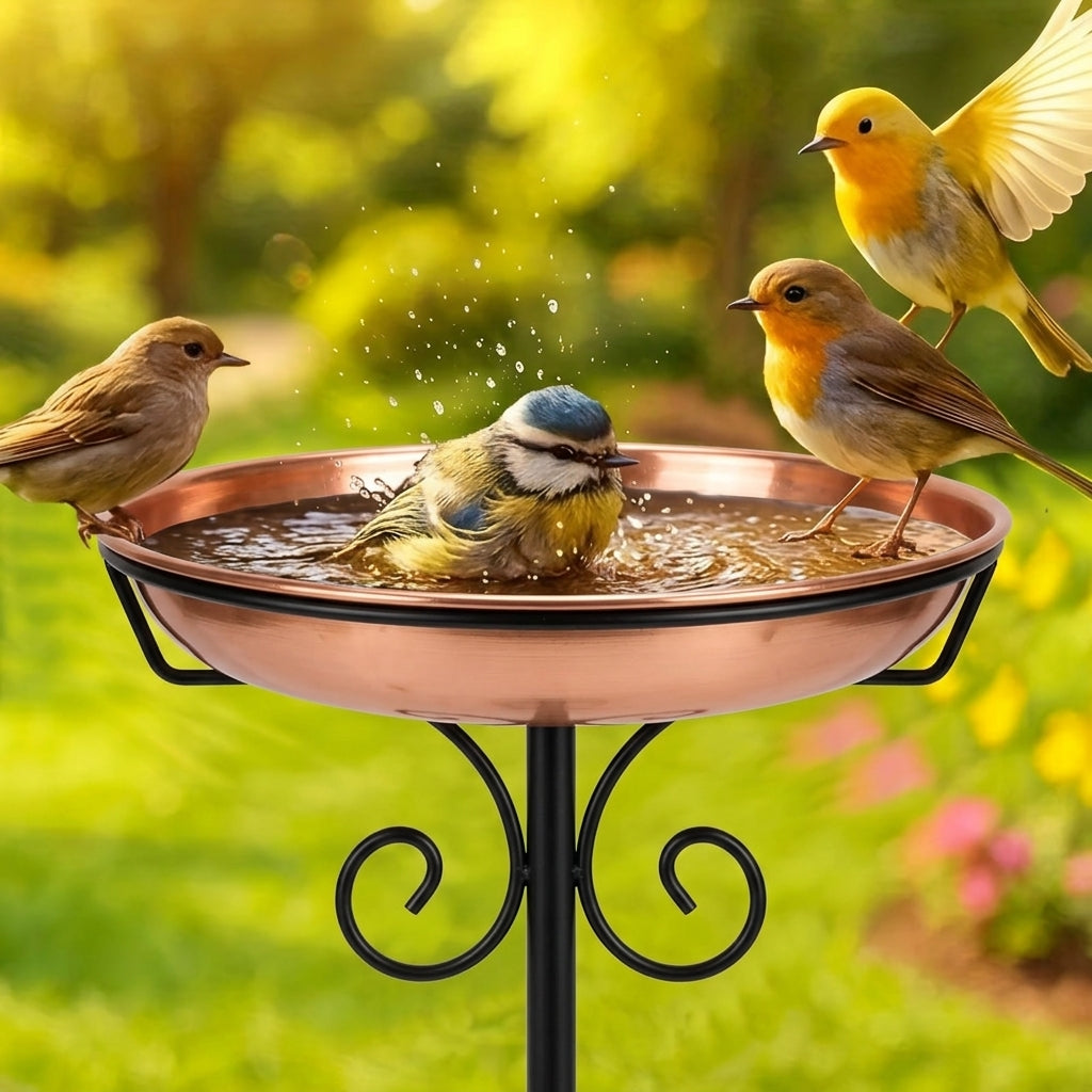 BirdBaths