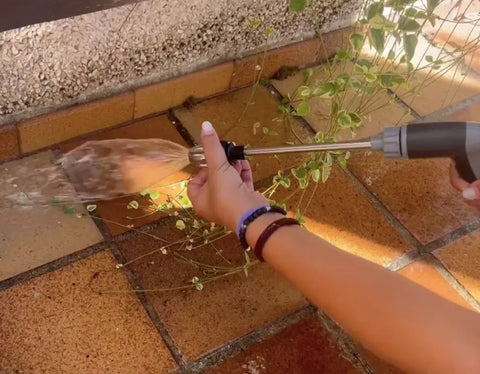 Cleaning outdoor surfaces with WaterBlitz Pro