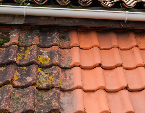 Cleaning roof tiles and outdoor surfaces